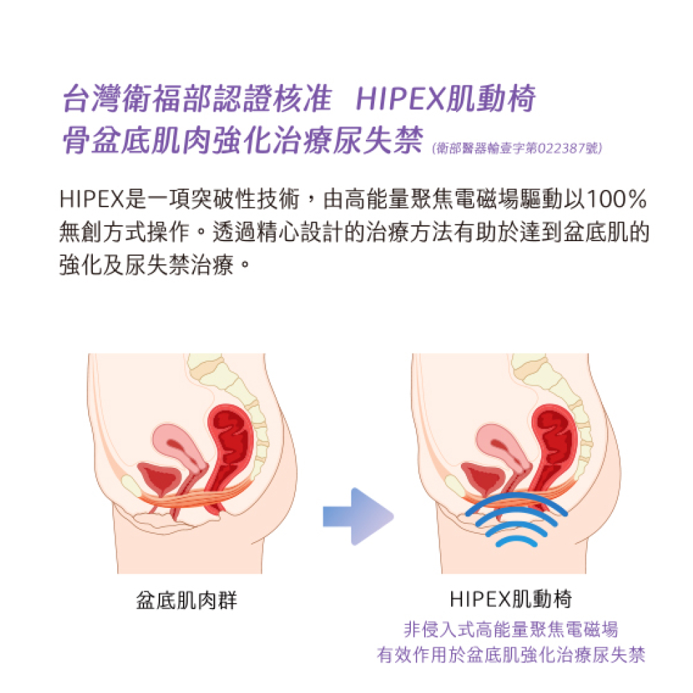 HIPEX肌動椅是如何運作的