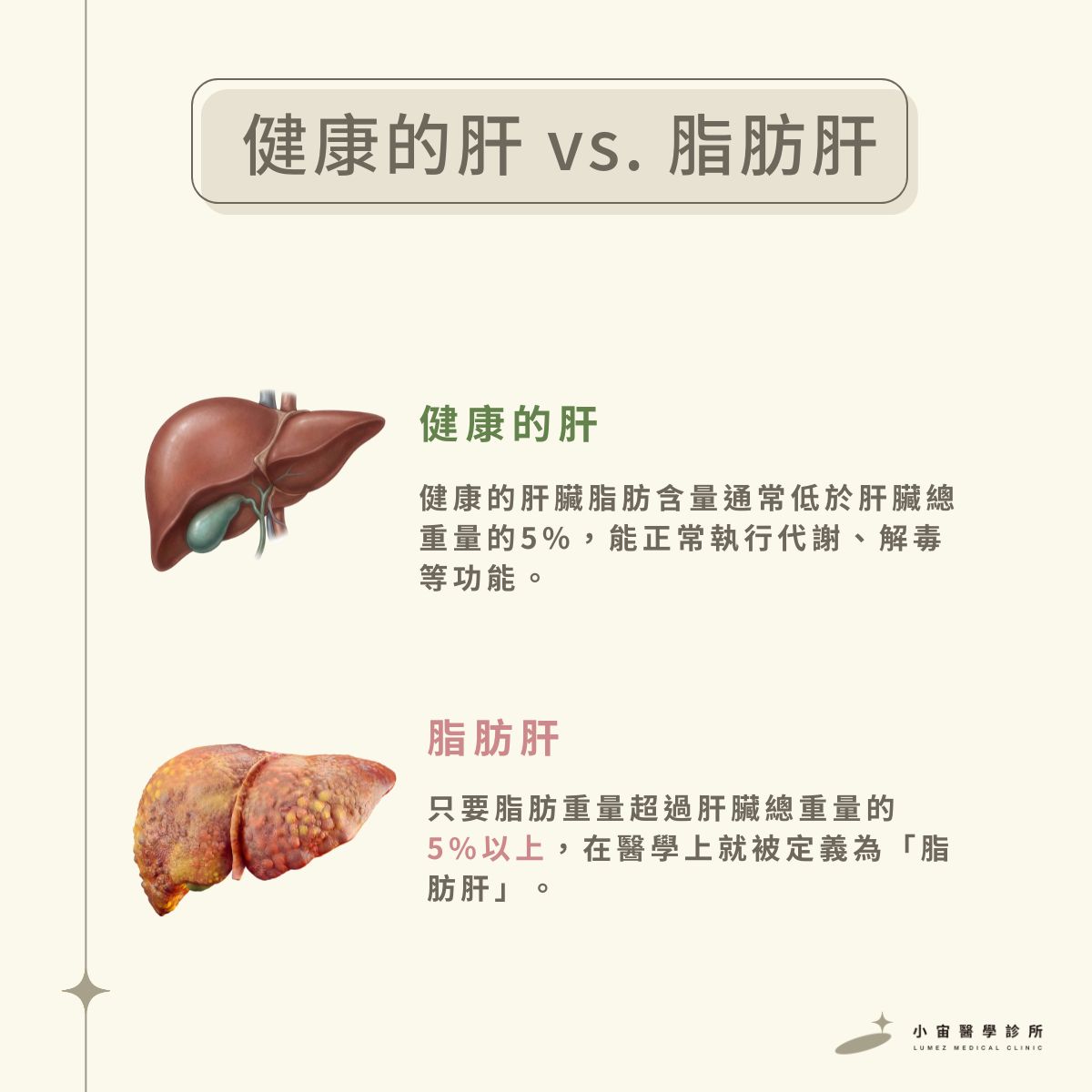 健康的肝 vs. 脂肪肝
