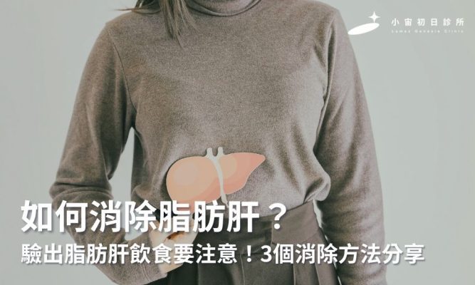 如何消除脂肪肝？驗出脂肪肝飲食要注意！3個消除脂肪肝的方法分享